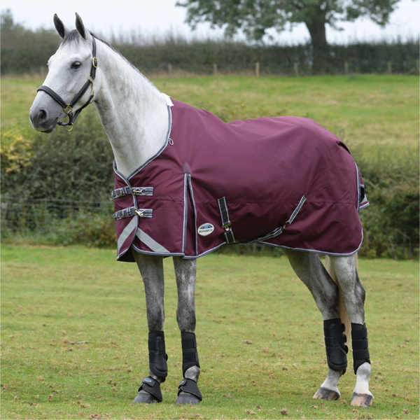 Weatherbeeta Comfitec Plus Dynamic II Medium-Lite Standard Neck Turnout Rug - Maroon